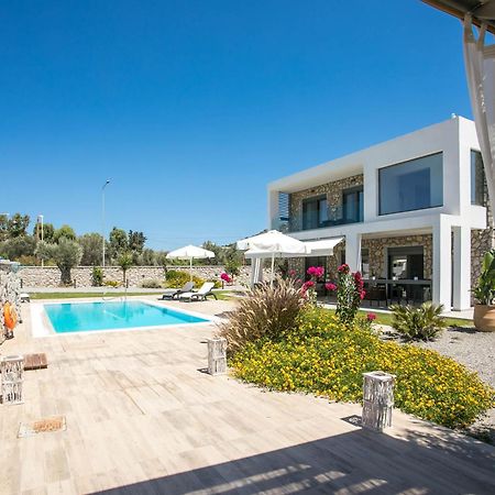 Kastalys Villa Kalithies 外观 照片